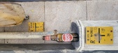 Enlarge photo 196