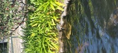 Enlarge photo 199
