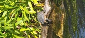 Enlarge photo 201