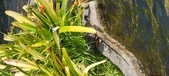 Enlarge photo 203