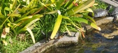 Enlarge photo 204