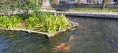 Enlarge photo 205