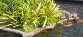 Enlarge photo 206
