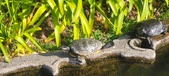 Enlarge photo 209