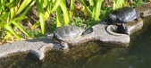 Enlarge photo 210