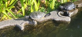 Enlarge photo 211