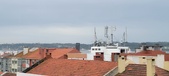 Enlarge photo 231