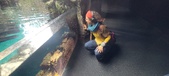 Enlarge photo 56