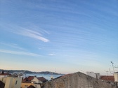 Enlarge photo 427