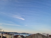 Enlarge photo 423