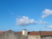 Enlarge photo 418