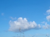 Enlarge photo 417