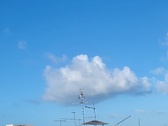 Enlarge photo 416