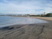Enlarge photo 30