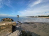 Enlarge photo 35