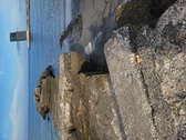 Enlarge photo 40