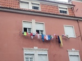 Enlarge photo 46