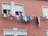 Enlarge photo 47
