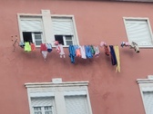 Enlarge photo 48