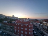 Enlarge photo 62