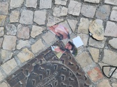 Enlarge photo 311