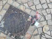 Enlarge photo 315