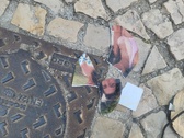 Enlarge photo 314