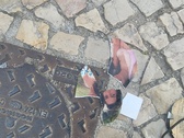 Enlarge photo 313