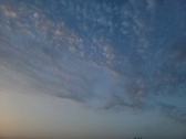 Enlarge photo 327