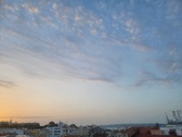 Enlarge photo 328