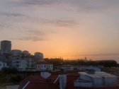 Enlarge photo 331