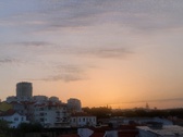 Enlarge photo 335