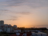 Enlarge photo 334