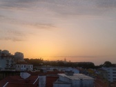 Enlarge photo 333