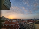 Enlarge photo 336