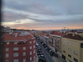 Enlarge photo 341