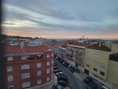 Enlarge photo 351