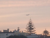 Enlarge photo 389