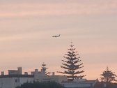 Enlarge photo 390