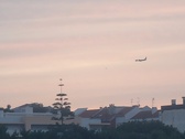 Enlarge photo 388