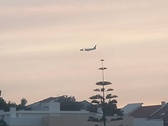 Enlarge photo 387