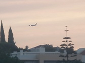 Enlarge photo 386