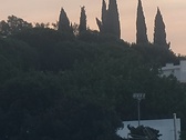 Enlarge photo 385