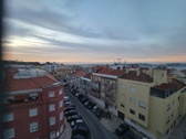 Enlarge photo 382