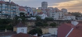 Enlarge photo 363