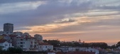 Enlarge photo 361