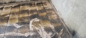 Enlarge photo 41