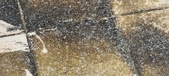 Enlarge photo 42