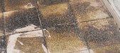 Enlarge photo 43