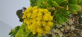 Enlarge photo 108